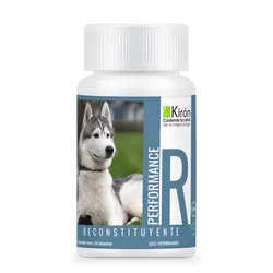 Performance Reconstituyente: Suplemento multivitamínico y mineral para perros🐶
