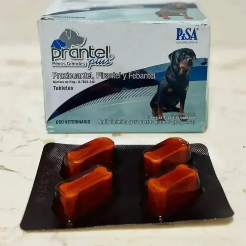 Prantel Plus: Antiparasitario de amplio espectro para perros grandes🐶