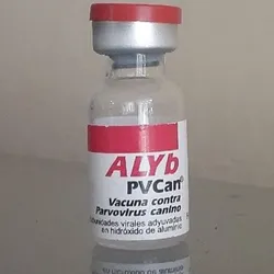 Vacuna contra el parvovirus canino💉🐶