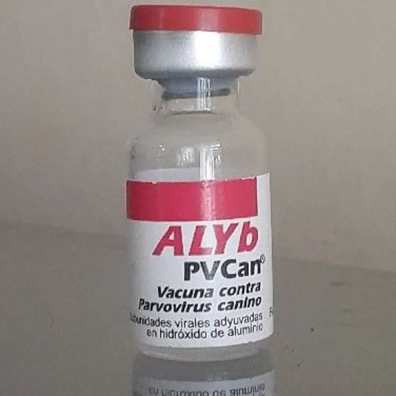 Vacuna contra el parvovirus canino💉🐶