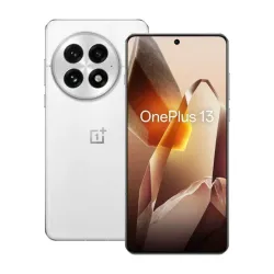 OnePlus 13