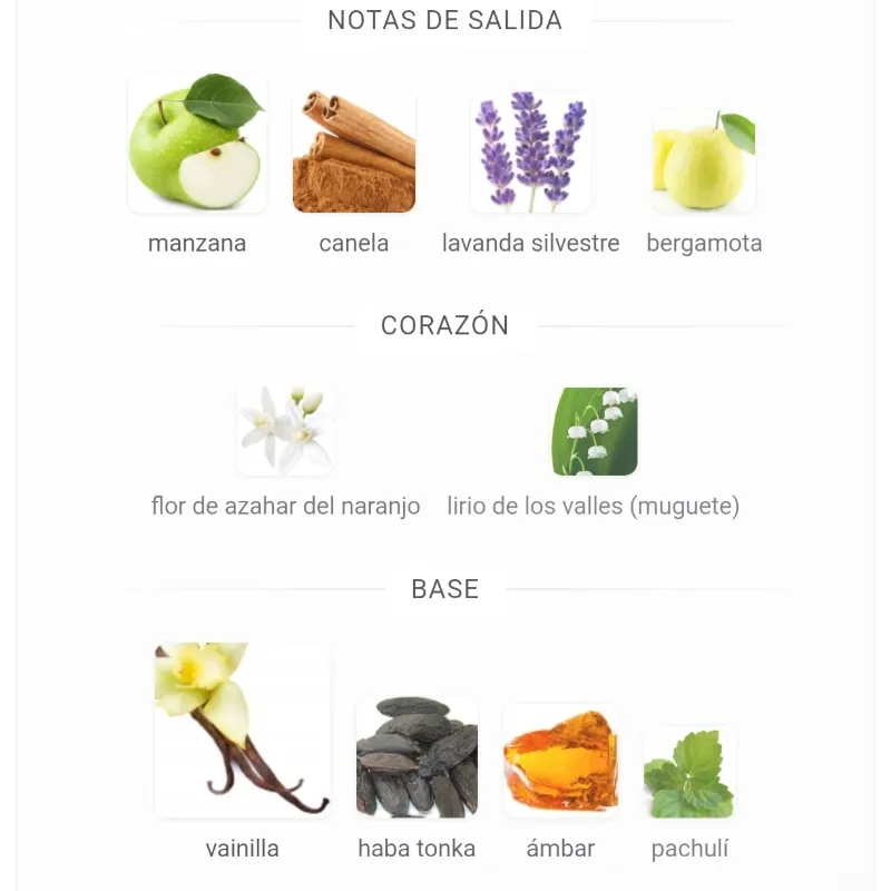 9 PM (Afnan) Eau de Parfum 100 ML