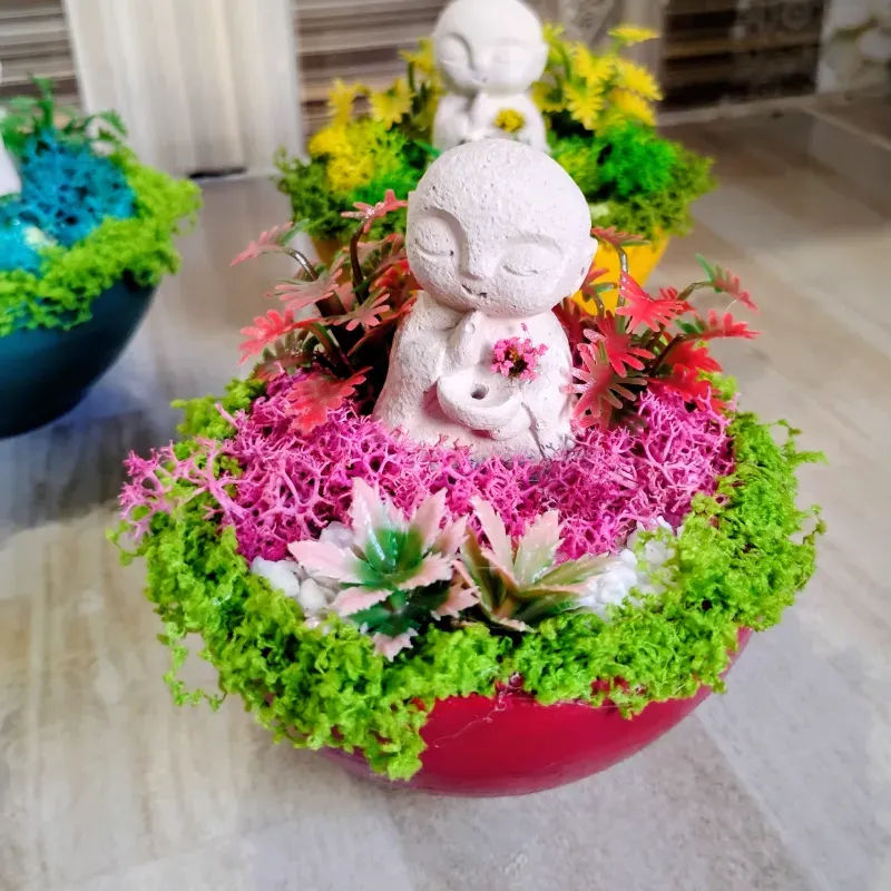 Jardín Zen en Miniatura 
