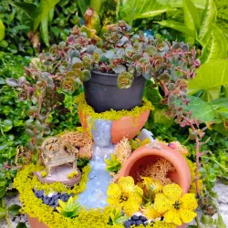 Mini Jardin de Otoño 