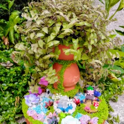 Mini Jardín de Primavera