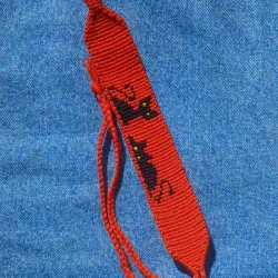 Gatos