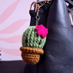 Cactus🌵