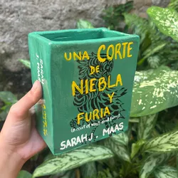 organizador