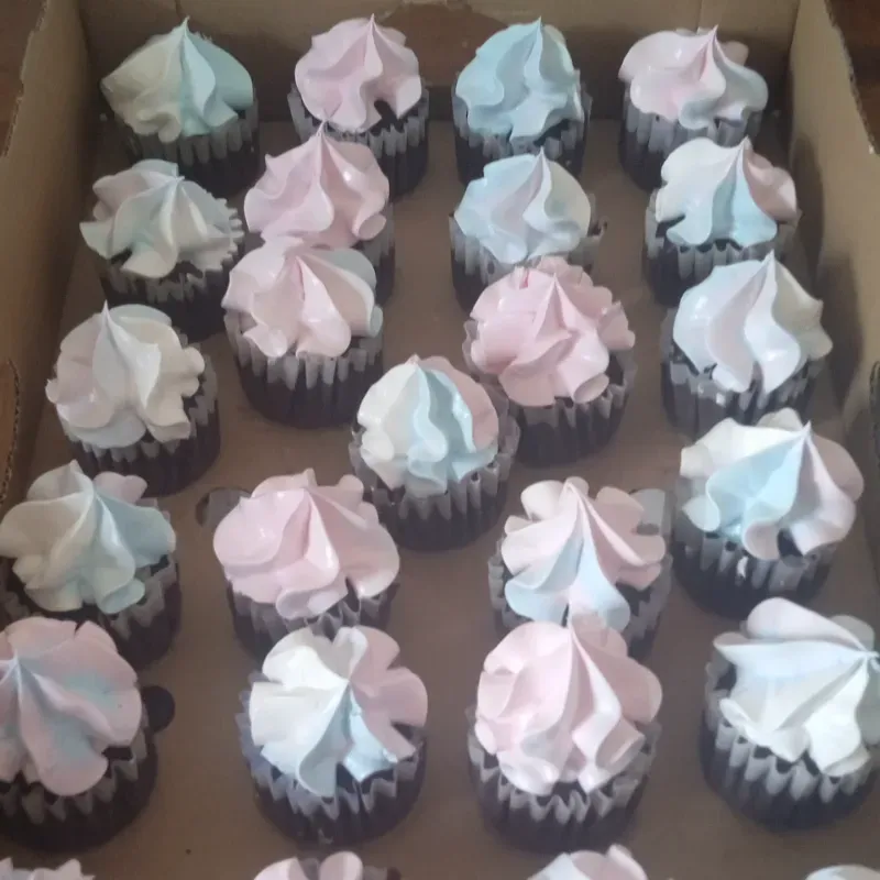 Cupcakes 