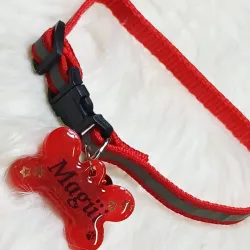 Collares de mascotas pequeñas 