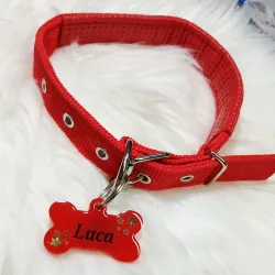 Collares para mascotas Grandes