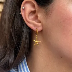 Aretes Golden Star