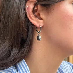 Aretes seashell