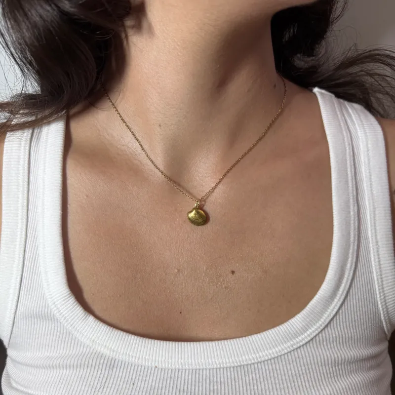 Cadena concha dorada