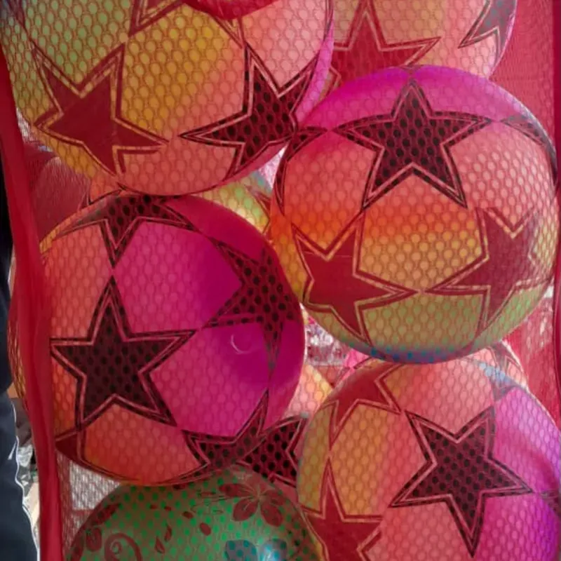 Pelotas