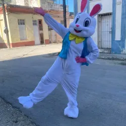 Conejito divertido 