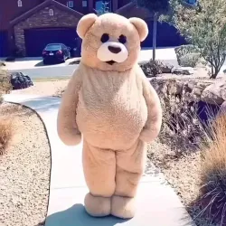 Disfraz de osito de peluche