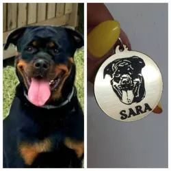 Chapilla para perro 