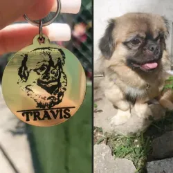 Chapilla para perro 