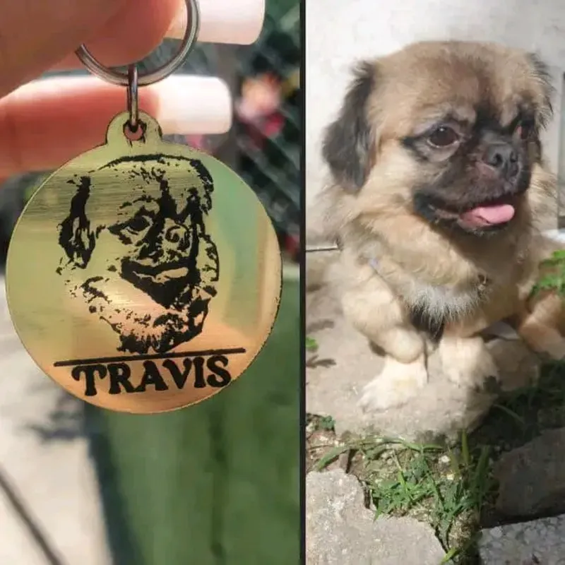 Chapilla para perro 