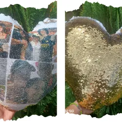 Cojines de lentejuelas 