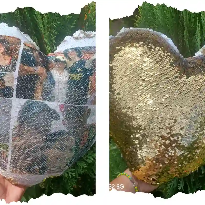 Cojines de lentejuelas 