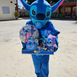 Stitch