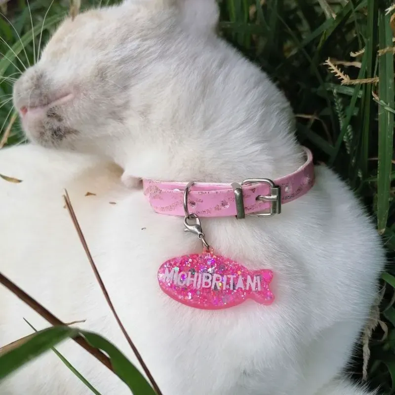 Chapas para mascostas 