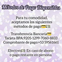 Vias mediantes las cuales puedes realizar el pago.