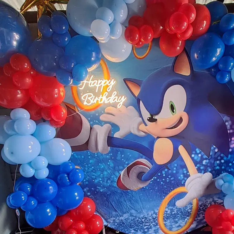 Decoración de sonic 
