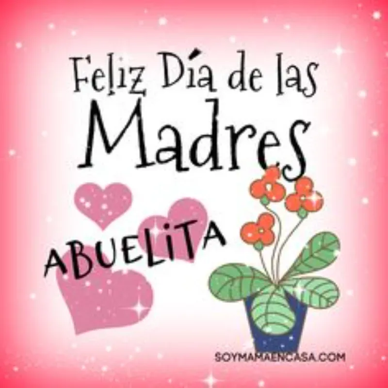 Feliz día abuelita