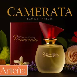 Camerata EDP para Damas
