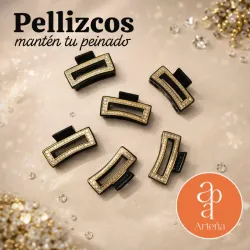 PELLIZCO BRILLO
