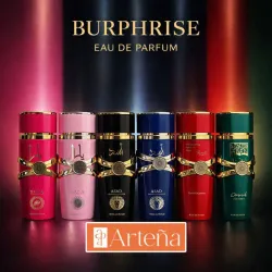 Perfumes BURPHRISE 250ml