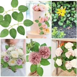 Conjunto de 6 hojas para rosas 