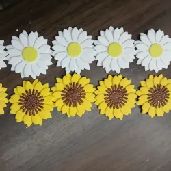 Girasoles y margaritas 