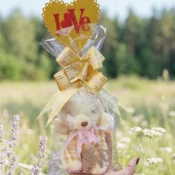 Osito de peluche