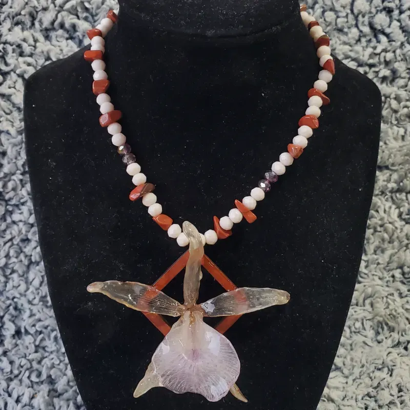 18 Acción de Gracias