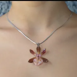 (2) Eden