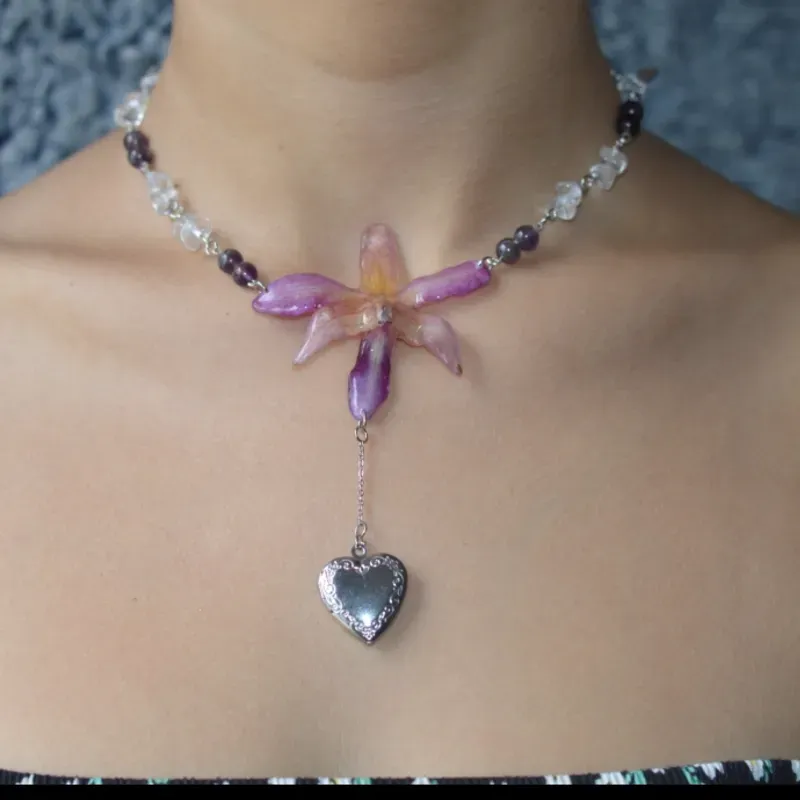 (24) Splendore