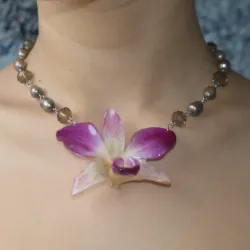 (3) Perla Doré 