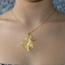 (8) Lumíere