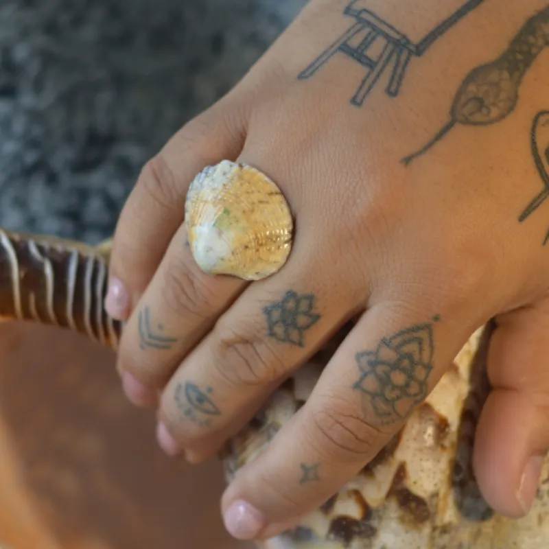 Anillo concha 