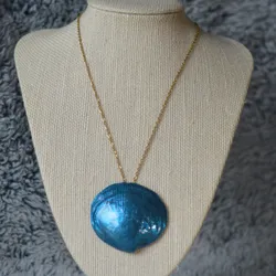 Blue shell💙