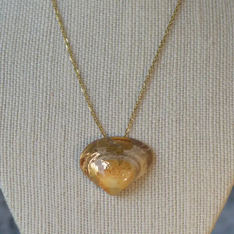 Caracola y oro 