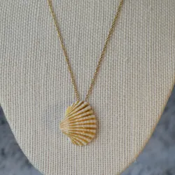 Golden shell 
