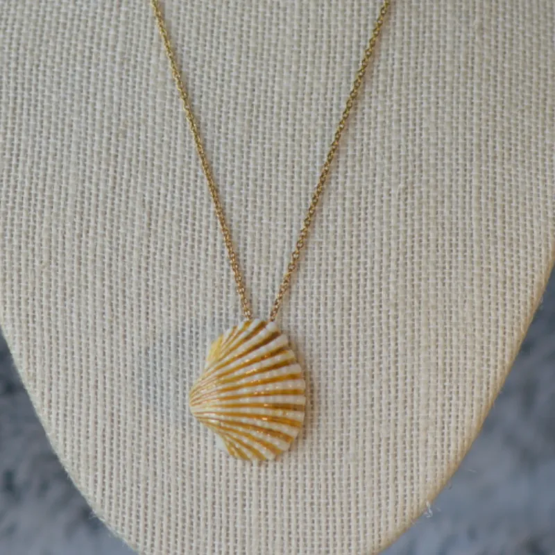 Golden shell 