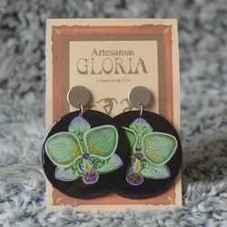 Green phaleanopsis