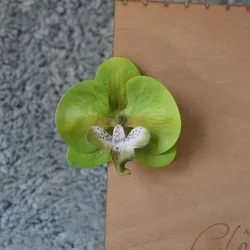 💚Lemon Clip 