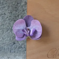 💜Lila Clip 
